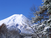 年末年始休業日のお知らせ